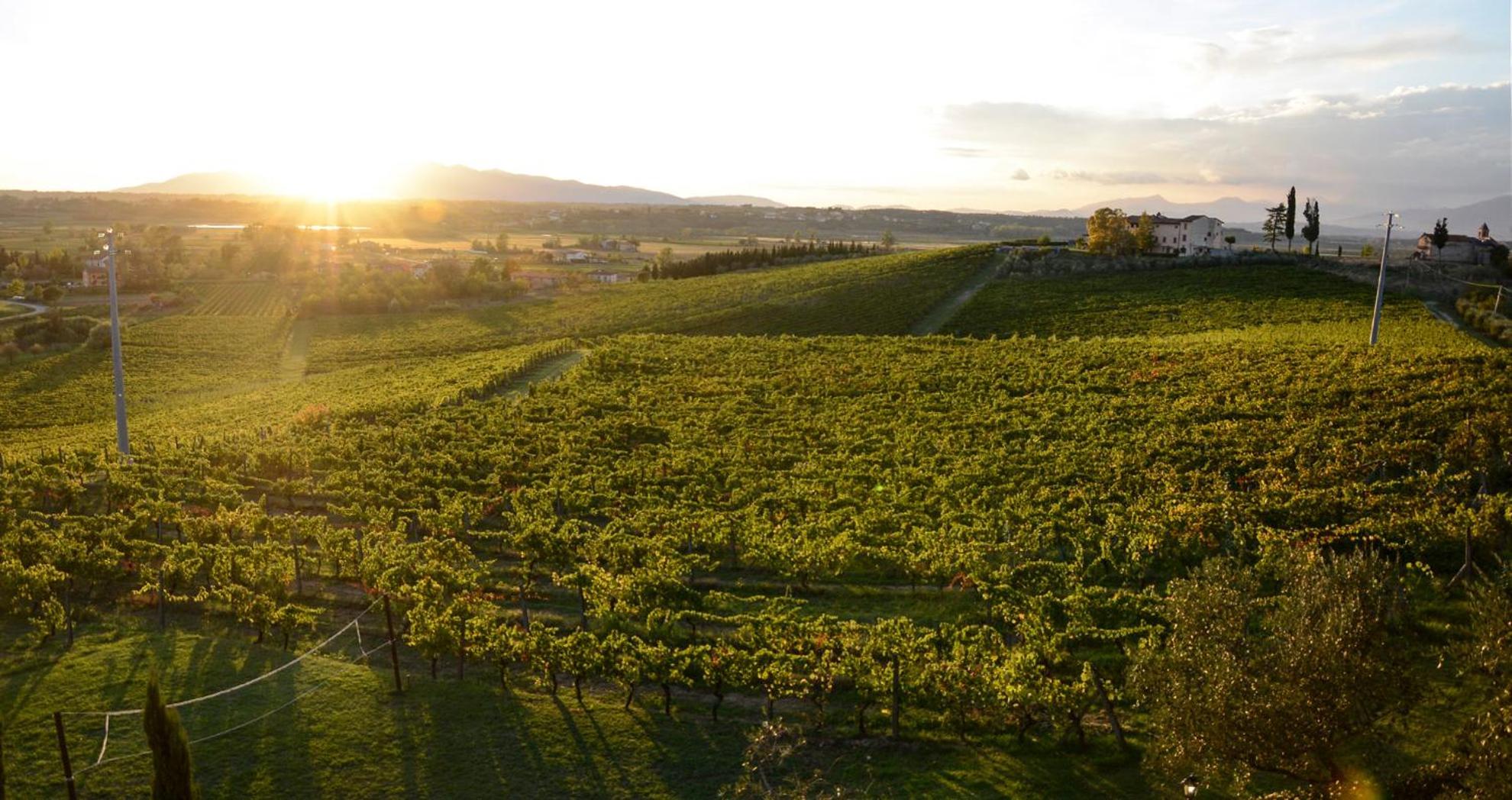 Agriturismo Corte In Poggio Stabbia Eksteriør bilde
