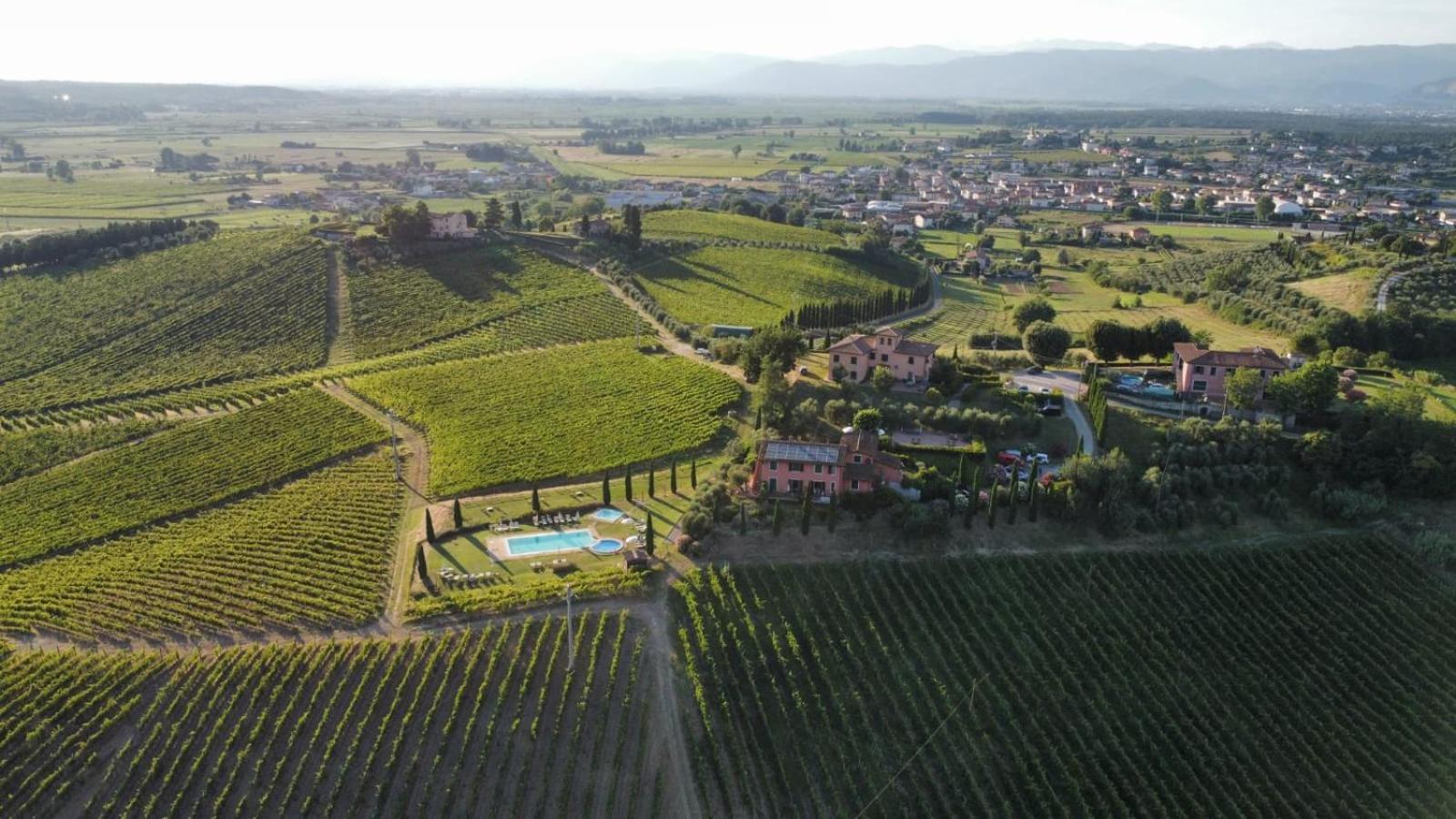 Agriturismo Corte In Poggio Stabbia Eksteriør bilde